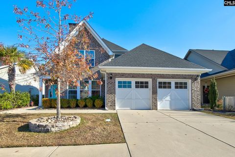 A home in Chapin