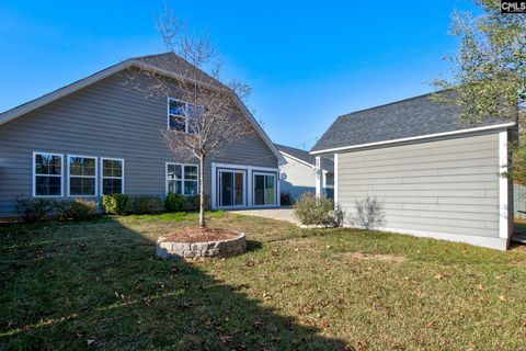 A home in Chapin