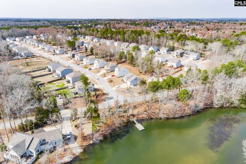 A home in Chapin