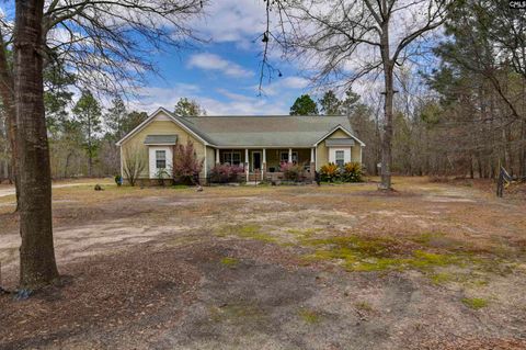 Photo of 359 Sturkie Lane, Gaston, SC 29053 (MLS # 622472)