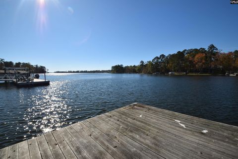 A home in Chapin