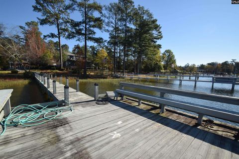 A home in Chapin