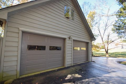 A home in Chapin