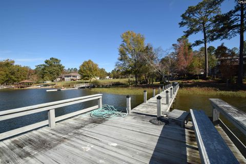 A home in Chapin