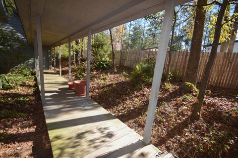 A home in Chapin