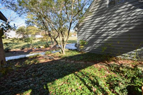 A home in Chapin