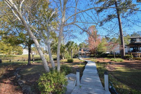 A home in Chapin