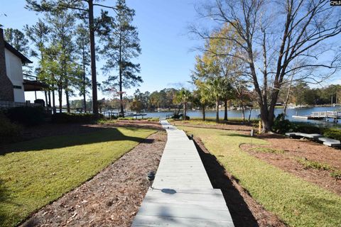 A home in Chapin