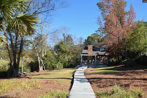 A home in Chapin