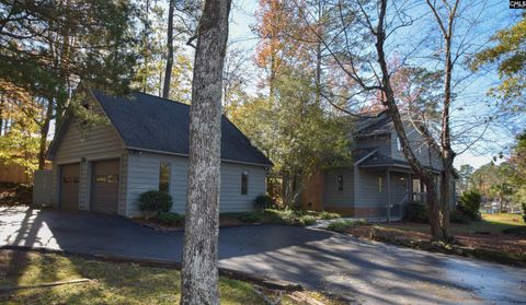 A home in Chapin