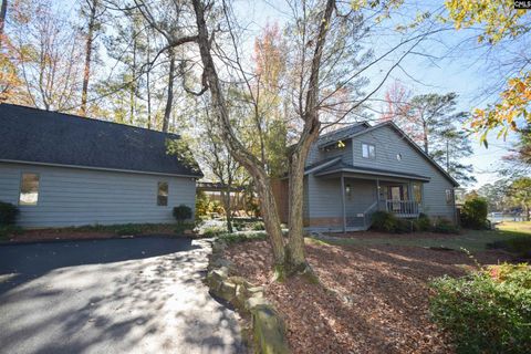 A home in Chapin