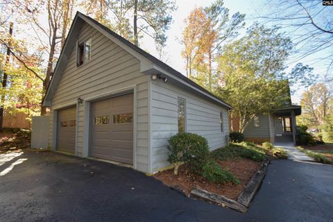 A home in Chapin