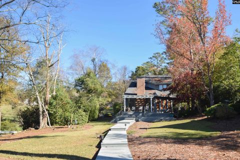 A home in Chapin