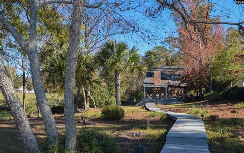 A home in Chapin