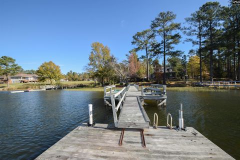 A home in Chapin