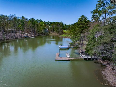 A home in Chapin