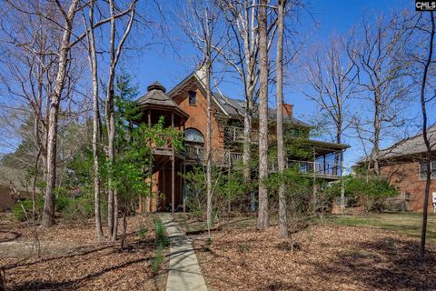 A home in Chapin