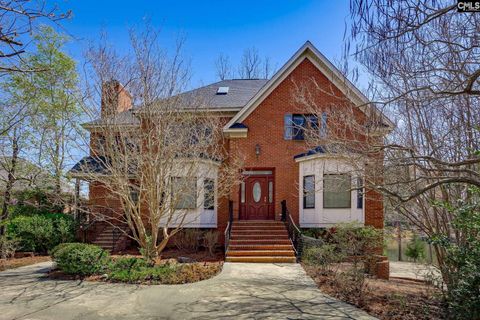 A home in Chapin