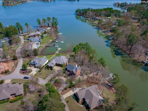 A home in Chapin