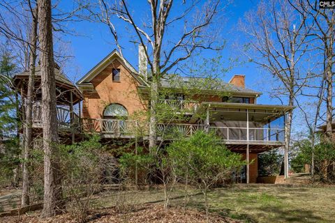 A home in Chapin