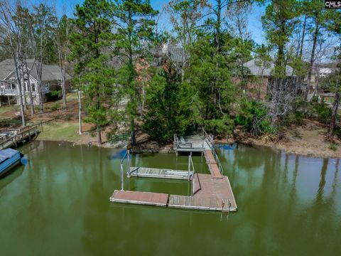 A home in Chapin