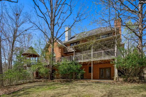 A home in Chapin