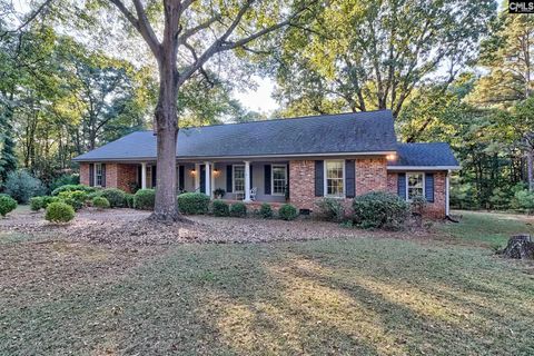 Photo of 115 Press Lindler Road, Columbia, SC 29212 (MLS # 618634)