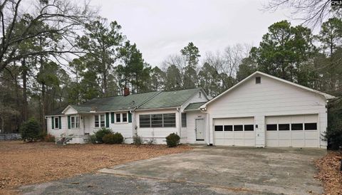 Photo of 400 Pickens Street, Bethune, SC 29009 (MLS # 625837)