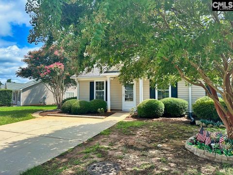 A home in Chapin