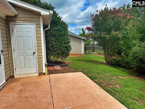 A home in Chapin