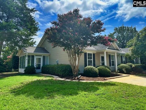 A home in Chapin