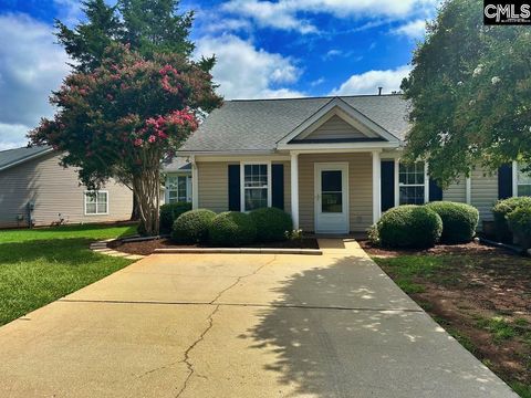 A home in Chapin