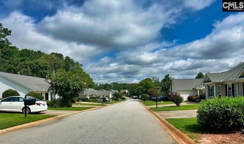 A home in Chapin