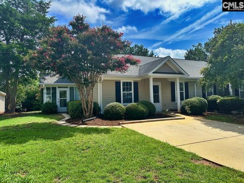 A home in Chapin