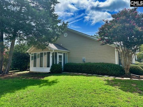 A home in Chapin