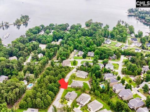 Photo of 424 Lombard Way, Chapin, SC 29036 (MLS # 635197)