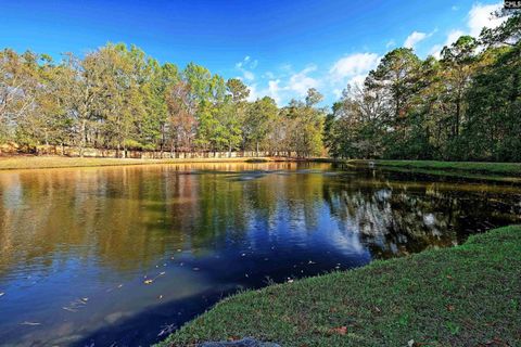 A home in Irmo