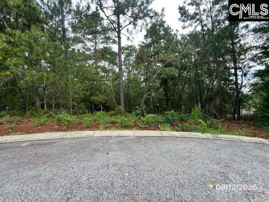 4 LOST DOG CT, ELGIN, SC 29045 - Image dd4f32c27f012dd6747cdda2e762c1ce/2720225895