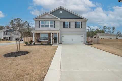 Photo of 140 Rushton Drive, Chapin, SC 29036 (MLS # 629071)