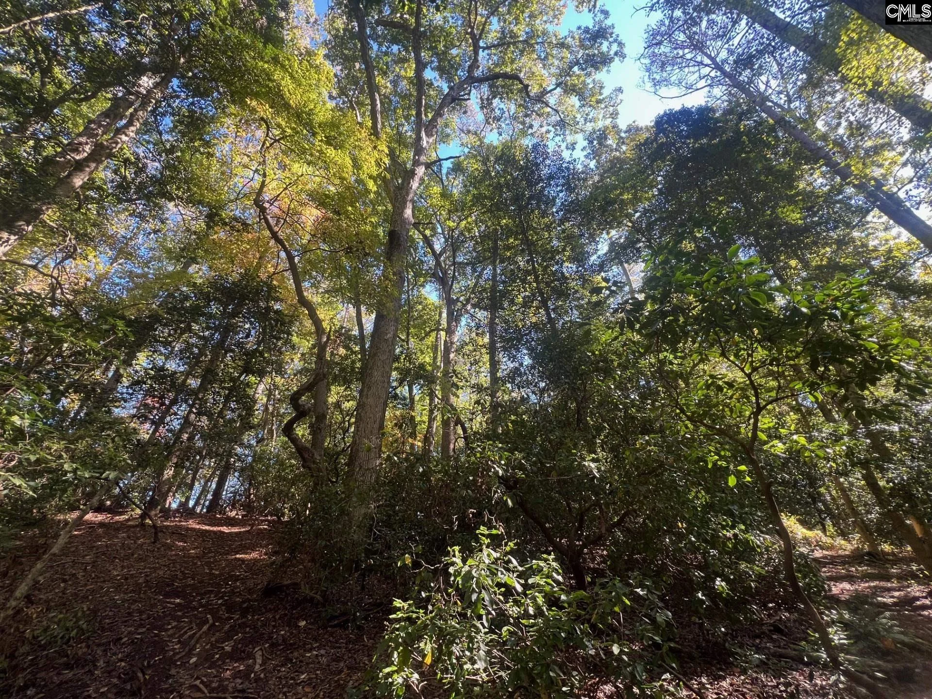 0 Roper Mountain Court