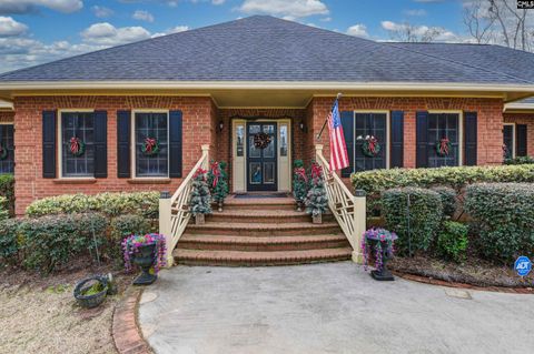 Photo of 1141 Old Brickyard Road, Irmo, SC 29063 (MLS # 629096)