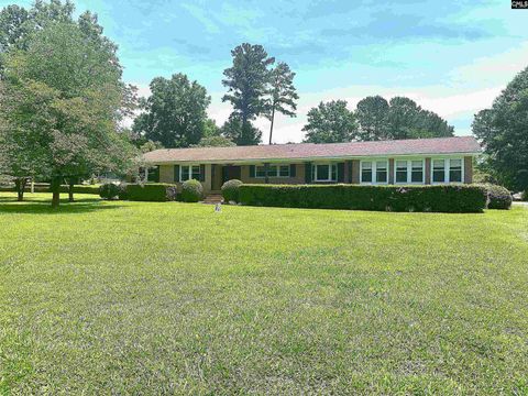 Photo of 535 Sandbar Road, Chapin, SC 29036 (MLS # 609777)