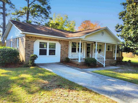Photo of 4123 Barbara Drive, West Columbia, SC 29169 (MLS # 621372)