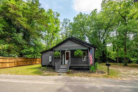 Single Family Residence in Batesburg SC 206 Albert St St.jpg