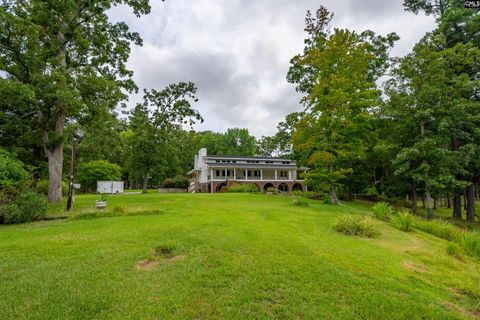 A home in Chapin