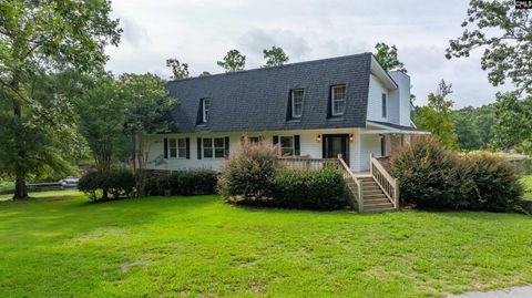 A home in Chapin