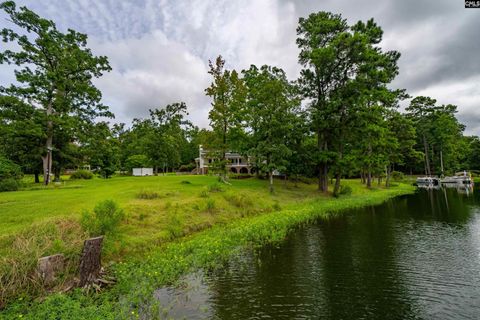 A home in Chapin