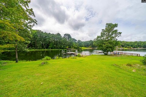 A home in Chapin