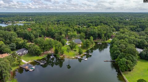 A home in Chapin