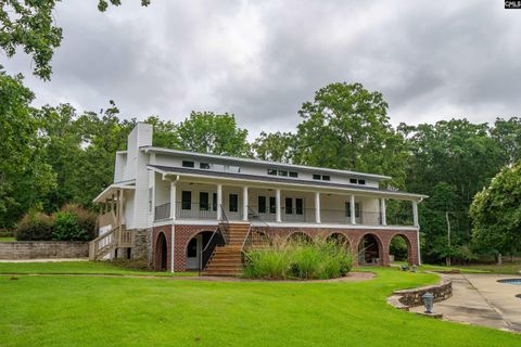 A home in Chapin